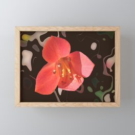 Calypso Framed Mini Art Print