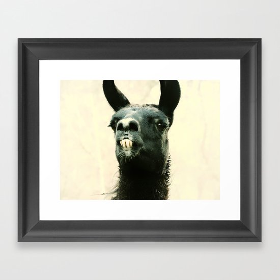 Mr. Llama Framed Art Print