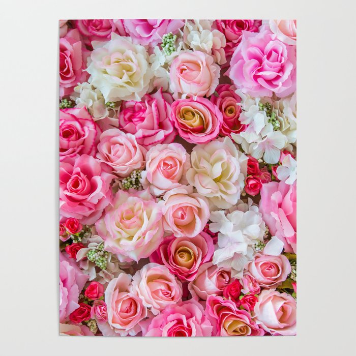 Beautiful Pink & Red Roses  Poster