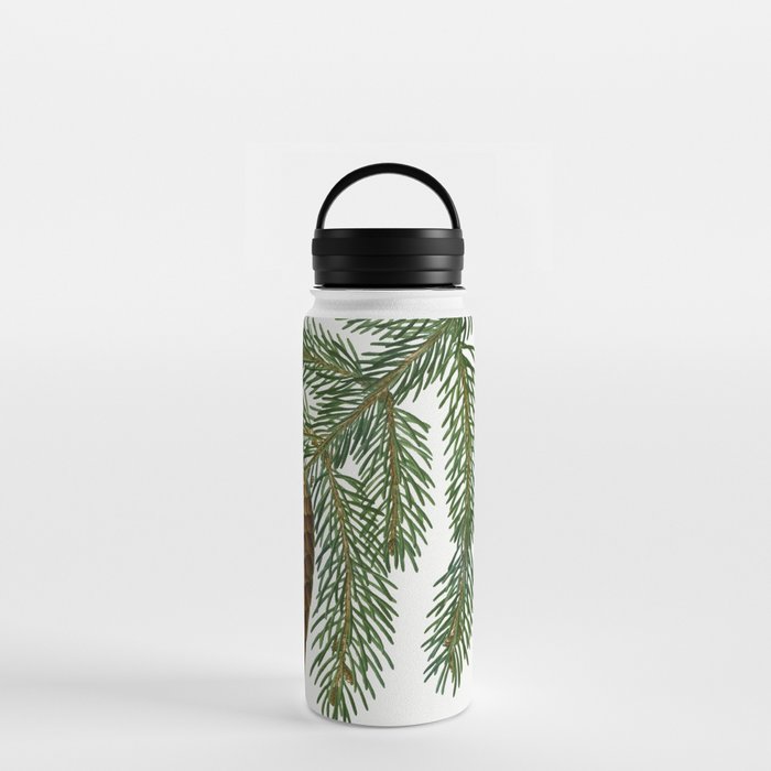 Norway spruce, Abies vulgaris from Traité des Arbres et Arbustes que l’on cultive en France en pleine terre (1801–1819)  Water Bottle
