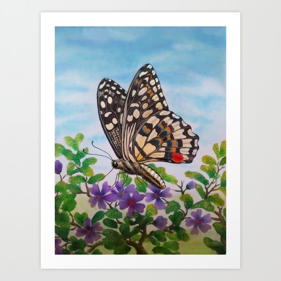 Chequered swallowtail Art Print