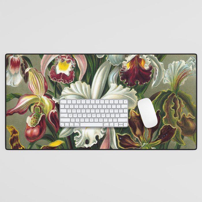 Ernst Haeckel Desk Mat