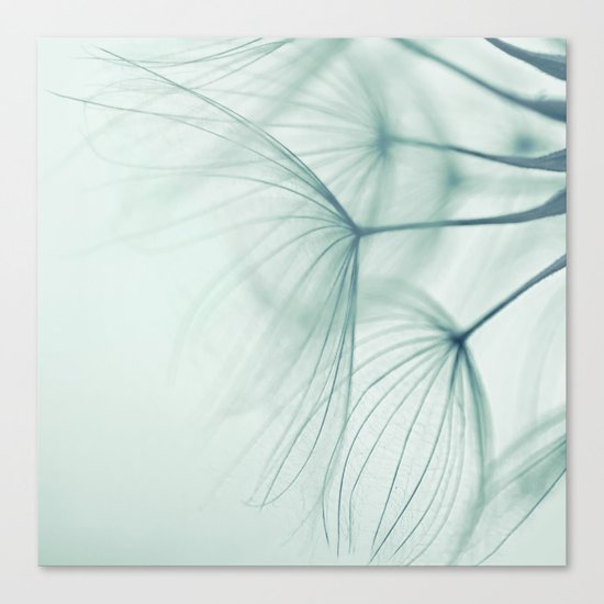 Fluff Canvas Print