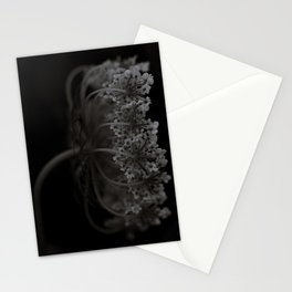 Look Inside Stationery Cards