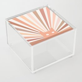 Cat Landscape 142: Cat Sun Acrylic Box