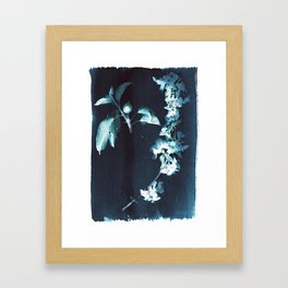 Apple Blossom Collage Framed Art Print