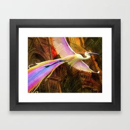 Bird of Paradise Framed Art Print