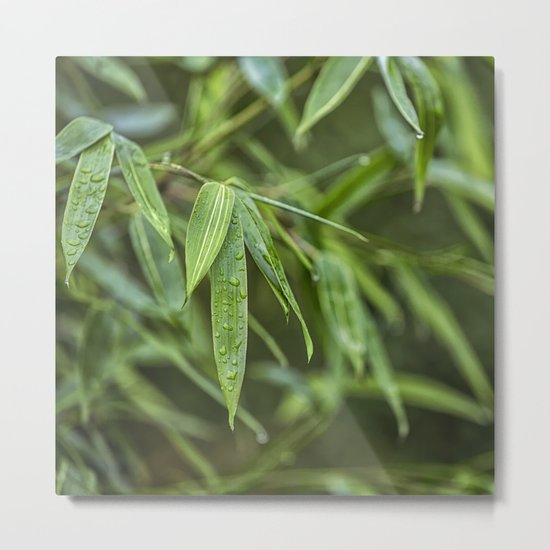 Lush Green Tropical Bamboo Leaf Metal Print