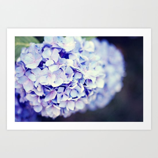 Purple Hydrangeas Art Print