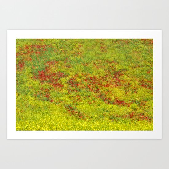 Field of flowers. Rural beauty. Poppies Art Print