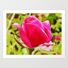 Rose Bud Art Print | Nature, Magenta, Rosebud, Rose, Red, Photograph, Pink, Green, Flower, Brown 