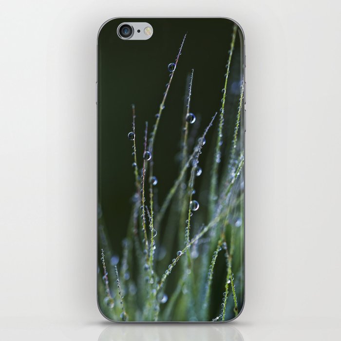 dew drops in abstract iPhone Skin