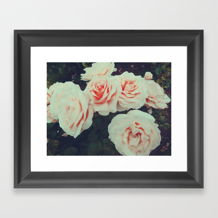 The Rose Framed Art Print