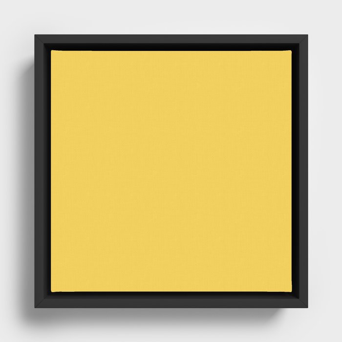 Framed Canvas
