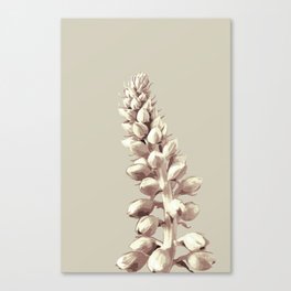 Pink and Grey Plant Art Canvas Print