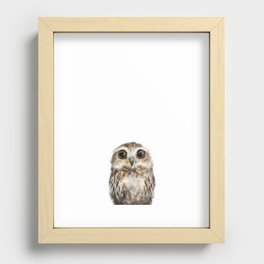 Little Owl Recessed Framed Print
