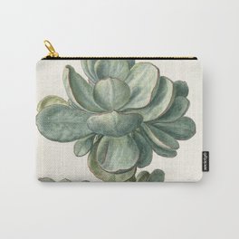 Herman Saftleven - Succulent (probably a Cotyledon orbiculata) - 1683 Carry-All Pouch