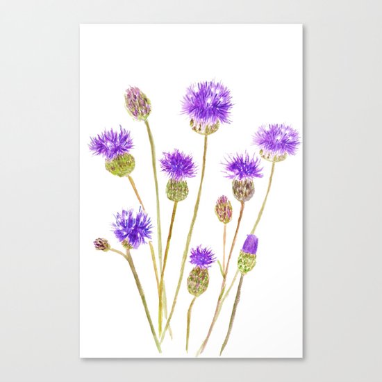 purple thorny wildflower Canvas Print