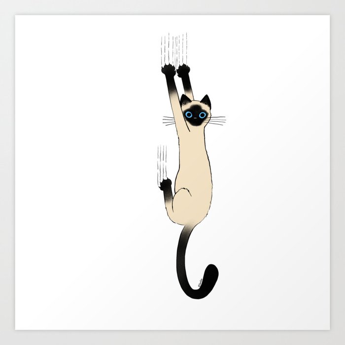 Siamese Cat Hanging On Art Print