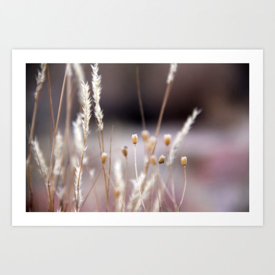 Winter West Art Print