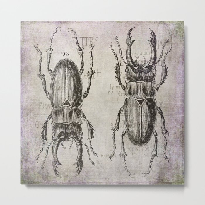 Grunge Style Stag Beetle Metal Print
