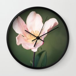 October flower Wall Clock