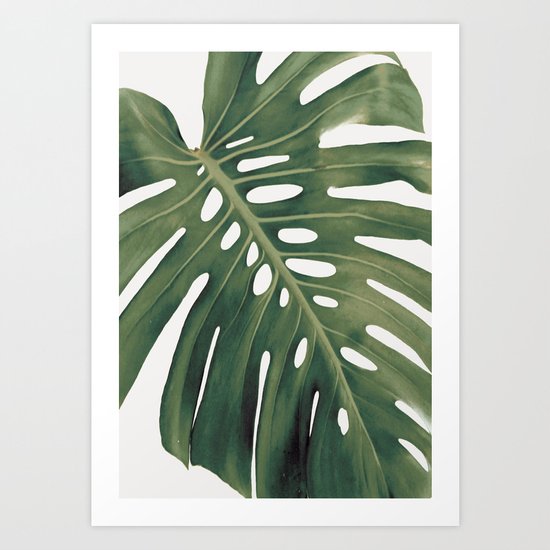 Monstera Art Print
