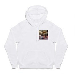 Spice souk Dubai Hoody