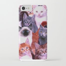 Assorted Cats, kittens iPhone Case