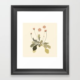 botanical flower simple illustration Framed Art Print