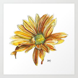 Rudbeckia flower Art Print