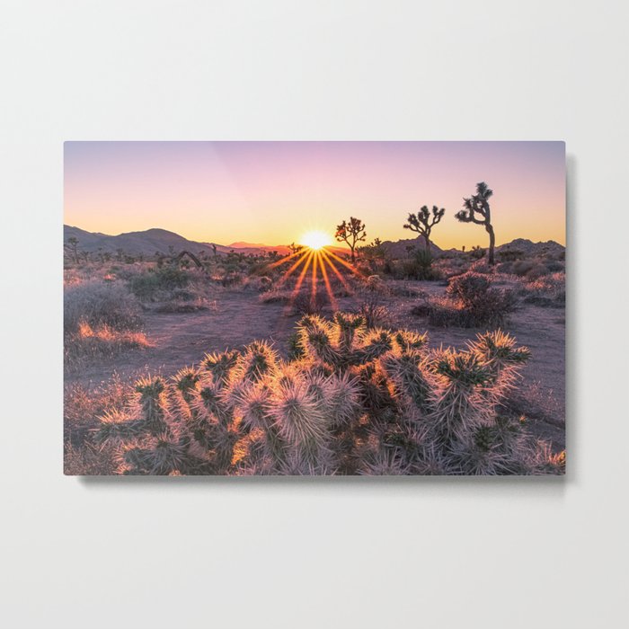 Joshua Tree Cholla Cactus Sunset Metal Print