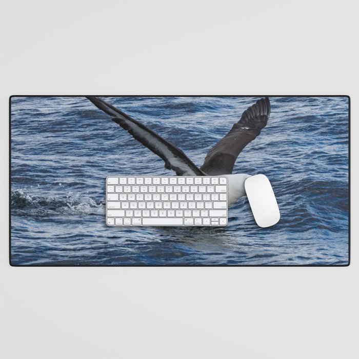 Argentina Photography - Black-browed Albatross Flying Close To The Water Desk Mat