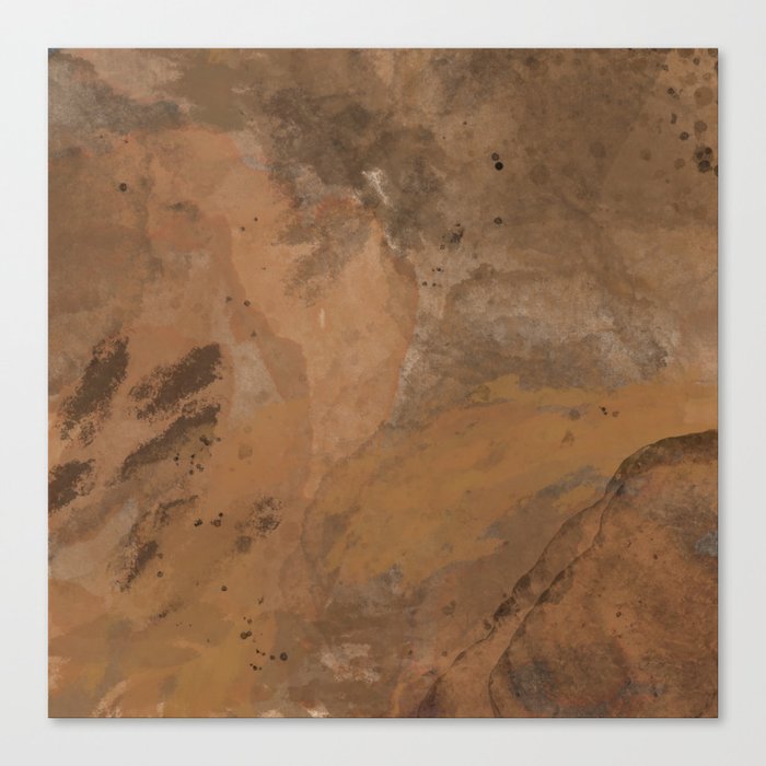 Desert Floor Canvas Print