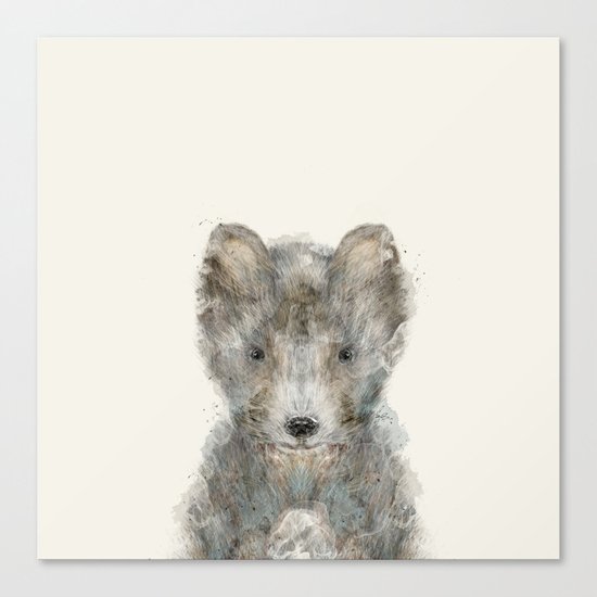 little wolf Canvas Print