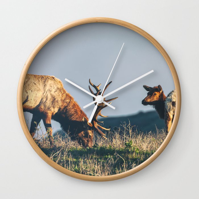 Are You Still Eating Wall Clock