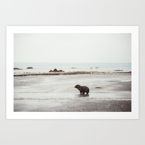 Pup seal crossing the road Art Print