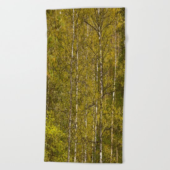 Autumn Forest Beach Towel