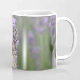 Bumblebee On Lavender Close Up Photograph Mug