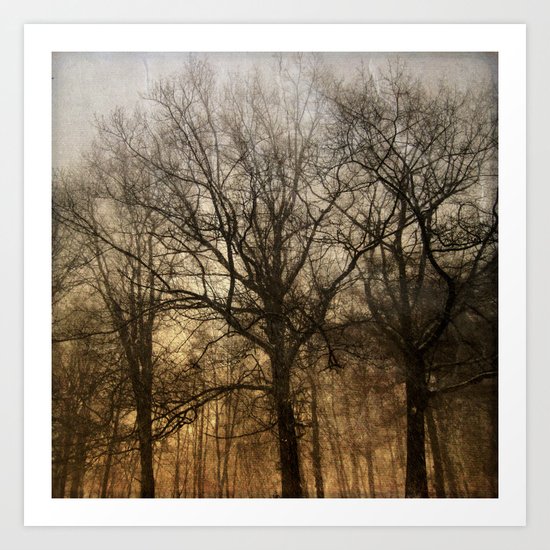 trees in a storm Art Print