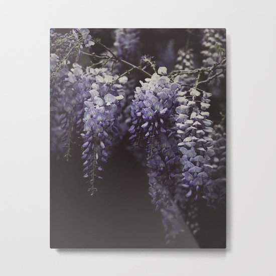 Wisteria Metal Print