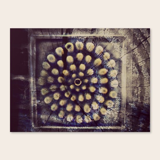 Pattern Canvas Print