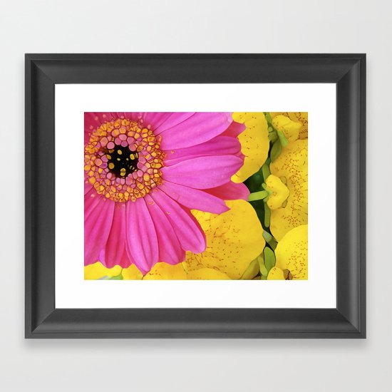 STELLA!!!!!!!! Framed Art Print