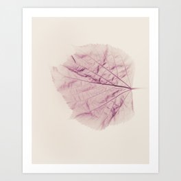 Tree leaf picture. Monochrome. Pink version Art Print