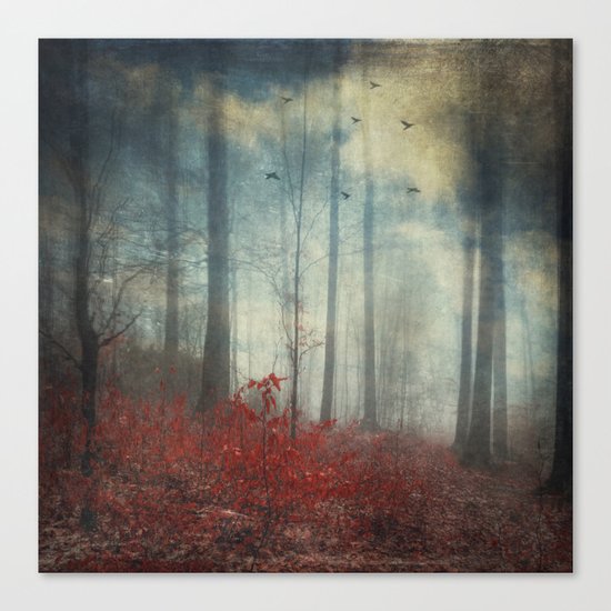 open woodland dreams Canvas Print