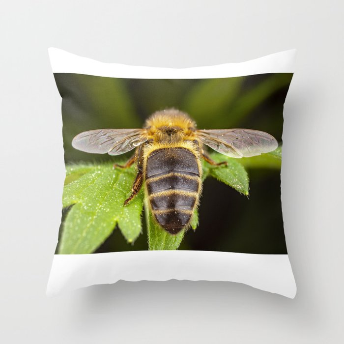 Bee from back Throw Pillow