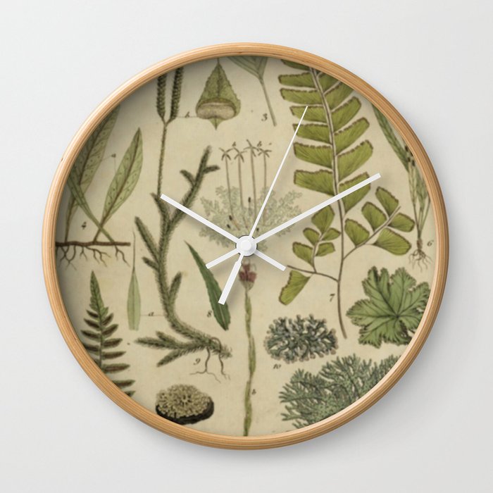 Ferns And Mosses Wall Clock