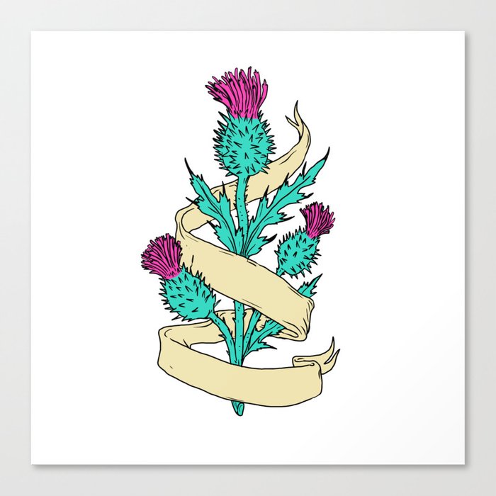 Scottish Thistle With Ribbon Color Drawing Canvas Print