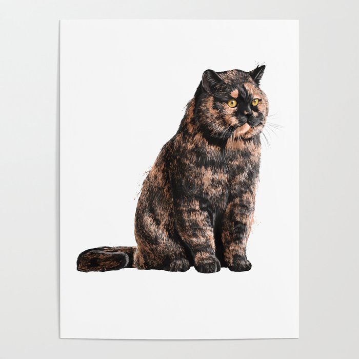Short hair tortoiseshell deals cat