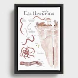 Amazing Earthworms Framed Canvas